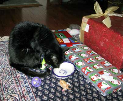 Mark examining presents
